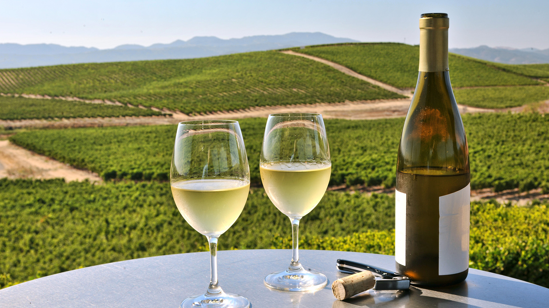 Vino de Napa
