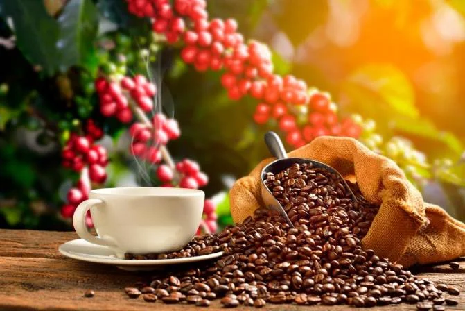 //www.som2travel.es/cdn/images/content/Colombia/foto-1-cafe-de-colombia-vinculos-monica-sanabria.webp