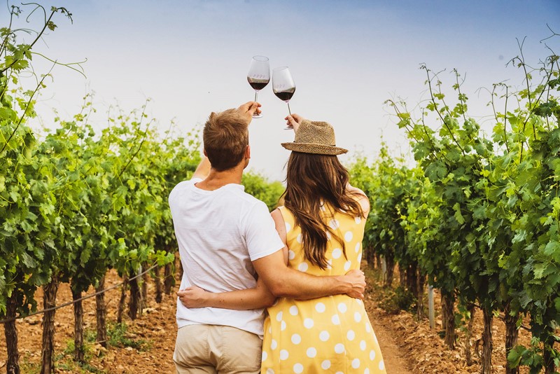 //www.som2travel.es/cdn/images/content/España/enoturismo-ribera-del-duero1.jpg
