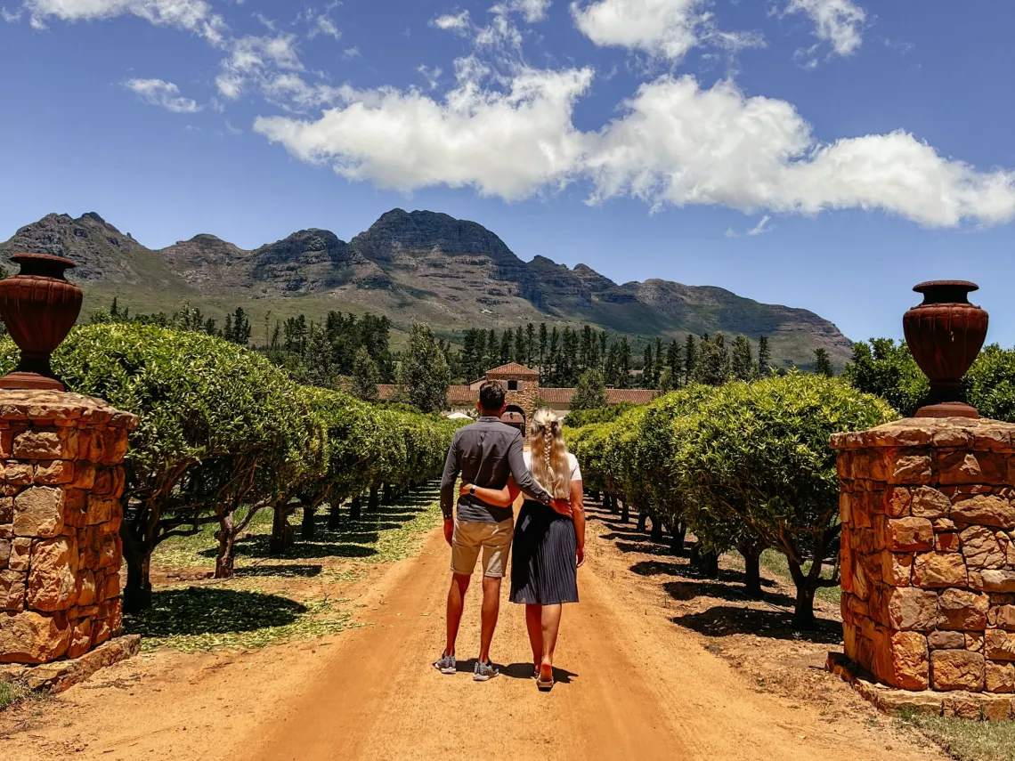 Bodegas, Stellenbosch